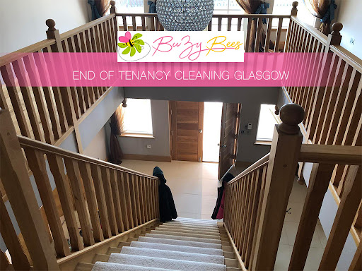 BuZy Bees Cleaning Services