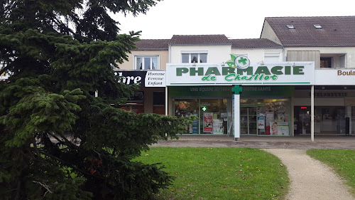 Pharmacie Pharmacie de Chaillot Vierzon
