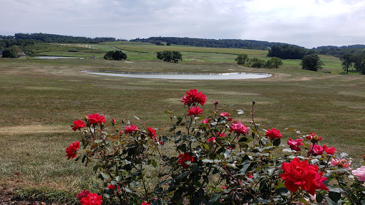 Public Golf Course «Olde Homestead Golf Club», reviews and photos, 6598 PA-309, New Tripoli, PA 18066, USA