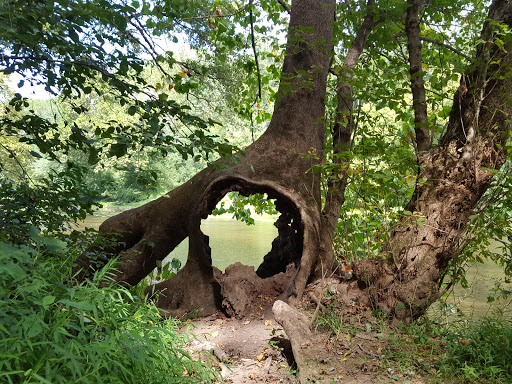 State Park «Brandywine Creek State Park», reviews and photos, 41 Adams Dam Road, Wilmington, DE 19807, USA