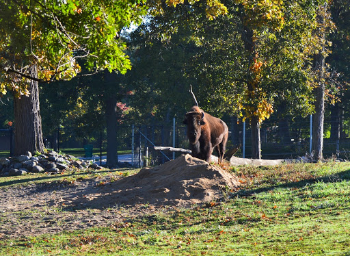 Zoo «Lords Park Zoo», reviews and photos, 325 Hiawatha Dr, Elgin, IL 60120, USA