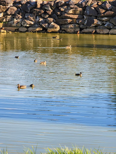 Golf Course «Waters Edge Mini Golf», reviews and photos, 230 N Ronks Rd, Bird in Hand, PA 17505, USA