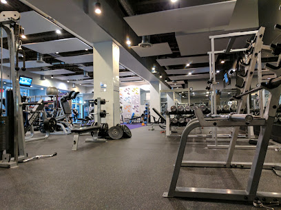 Anytime Fitness