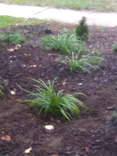 Shopping Mall «Hilltop Shopping Center», reviews and photos, 5400 Reisterstown Rd, Baltimore, MD 21215, USA