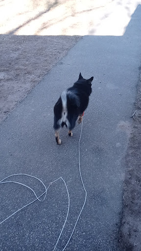 Pet Supply Store «Petco Animal Supplies», reviews and photos, 216 Colony Pl, Plymouth, MA 02360, USA