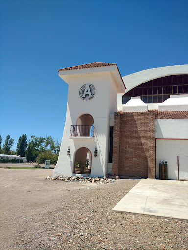 Bodega Argento