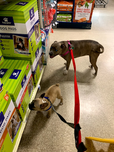 Pet Supply Store «PetSmart», reviews and photos, 777 S Willow St, Manchester, NH 03103, USA