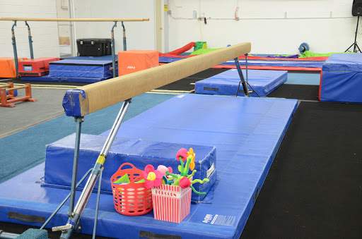 Gymnastics Center «ALL AROUND GYMNASTICS», reviews and photos, 674 County Line Rd, Bensenville, IL 60106, USA