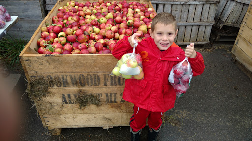 Produce Market «Brookwood Fruit Farm», reviews and photos, 7845 Bordman Rd, Almont, MI 48003, USA