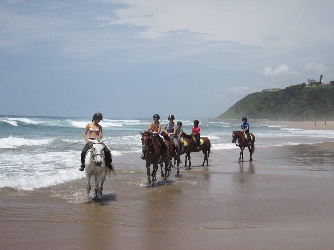 Horseback Beach Adventures