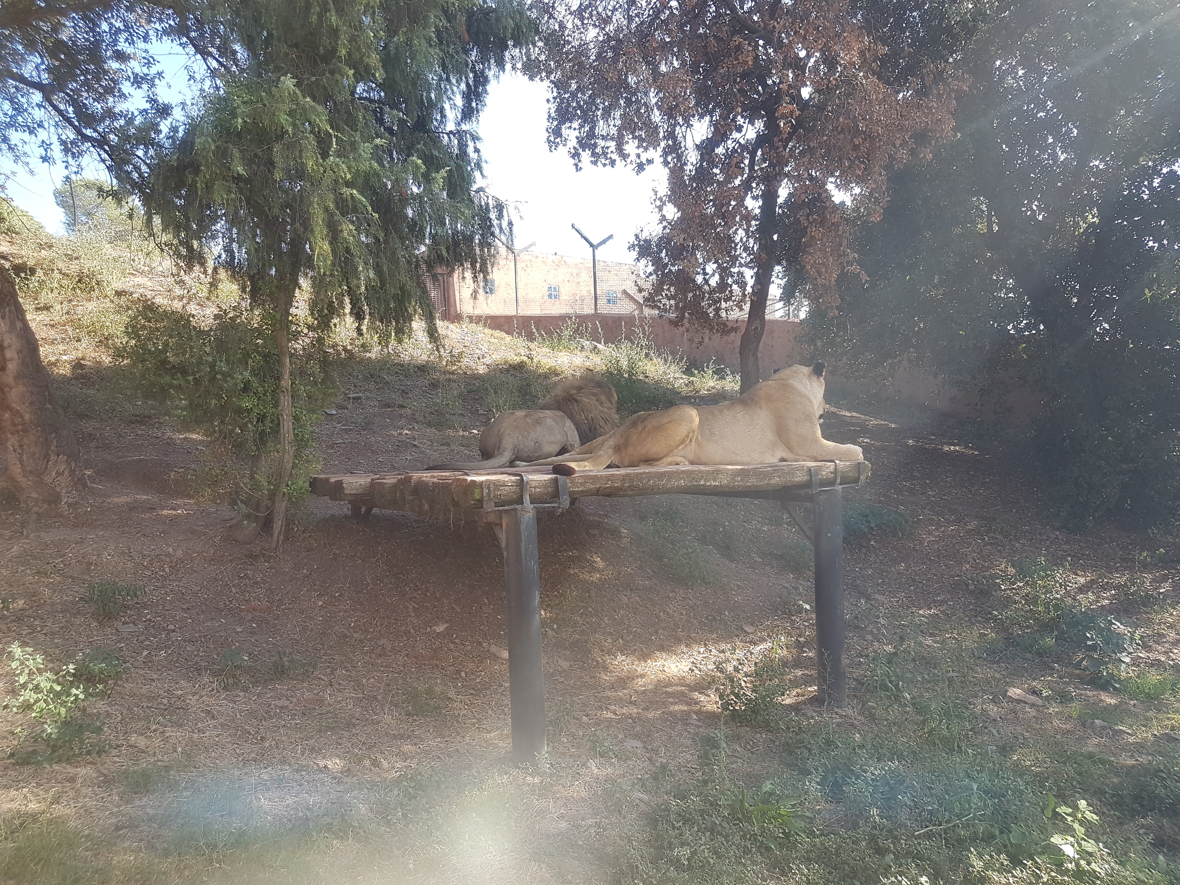 Photo n° 45 de l'avis de Armand.A fait le 09/09/2018 à 19:52