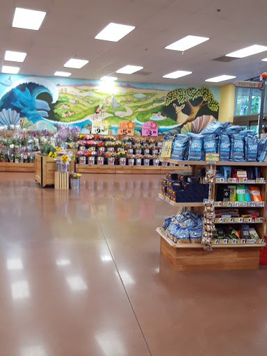 Trader Joes image