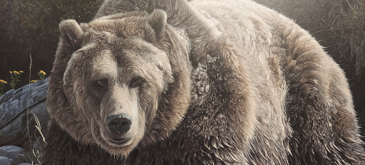 Art Museum «Briscoe Western Art Museum», reviews and photos, 210 W Market St, San Antonio, TX 78205, USA