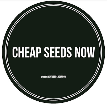 Cheap Seeds Now
