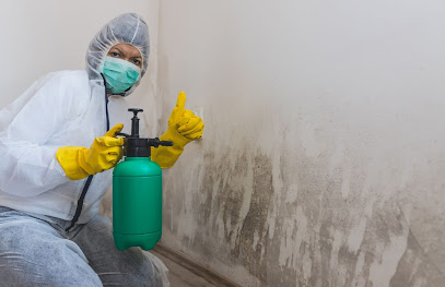 Madison Mold Removal Pros