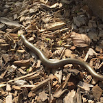 Photo n°4 de l'avis de Dorota.� fait le 19/05/2023 à 11:15 sur le  Hotel Schlangenbader Hof à Schlangenbad