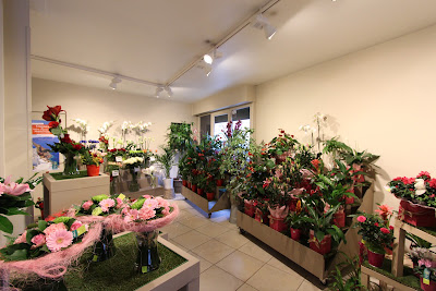 Le Jardin des Fleurs à Hazebrouck
