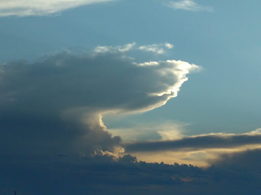 Grocery Store «King Soopers», reviews and photos, 13700 Colorado Blvd, Thornton, CO 80602, USA