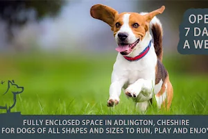 Adlington Dog Field image