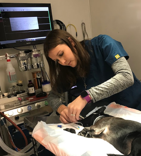 Westwood Veterinary Hospital image