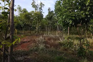 AG Pudur Bosch-Sri Shakthi Mini Forest image