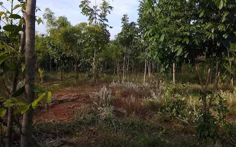 AG Pudur Bosch-Sri Shakthi Mini Forest image