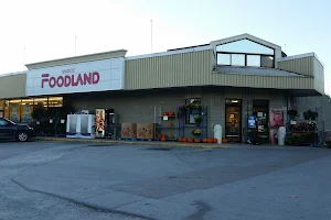 Foodland - Madoc image