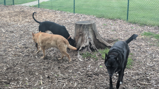 Park «Schappacher Park», reviews and photos, 4686 Old Irwin Simpson Rd, Mason, OH 45040, USA