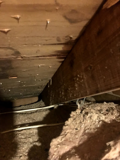 Roofing Contractor «Collis Roofing», reviews and photos, 485 Commerce Way, Longwood, FL 32750, USA