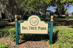 Big Tree Park