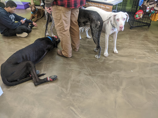 Pet Supply Store «Pet Supplies Plus», reviews and photos, 1970 Portage Trail, Cuyahoga Falls, OH 44223, USA