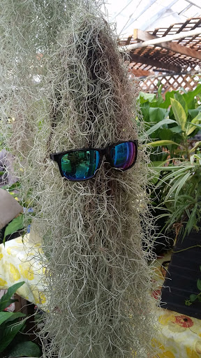 Florist «Hill Haven Farm & Greenhouse & Florist», reviews and photos, 7842 Center Rd, Valley City, OH 44280, USA