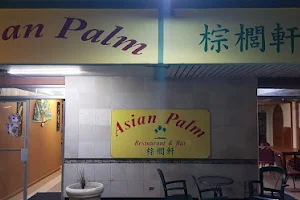 Asian Palm Restaurant & Bar image