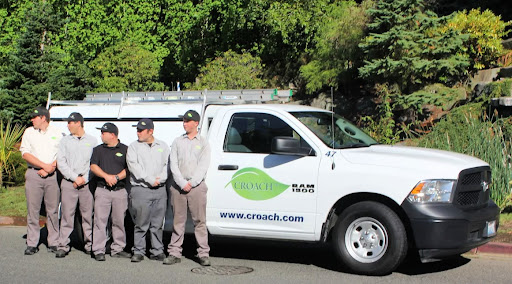 Pest Control Service «Croach», reviews and photos