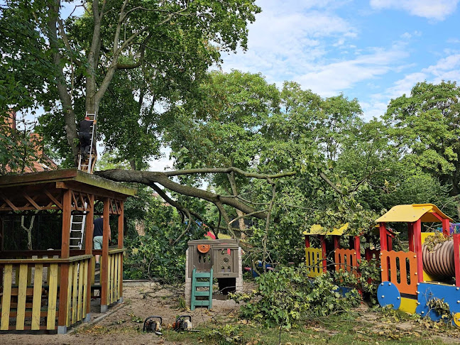 JUMPER WYCINKA DRZEW PIASECZNO - Ogrodnik