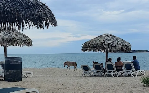 Playa Farallón image