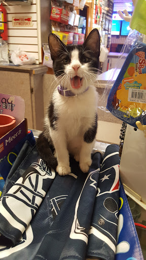 Car Wash «Minit-Man Car Wash», reviews and photos, 6926 Harrisburg Blvd, Houston, TX 77011, USA