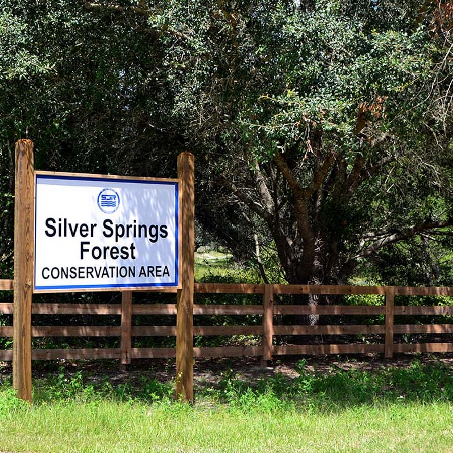 Silver Springs Forest Conservation Area