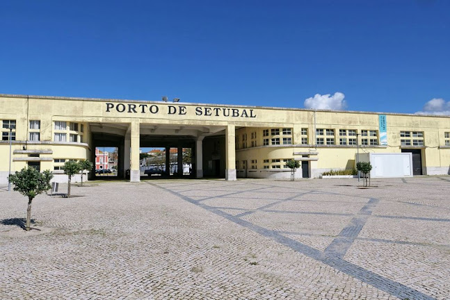 R. da Fé 3235, 2975-369 Q.ta do Conde, Portugal