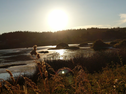 Golf Course «Useless Bay Golf & Country Club», reviews and photos, 5725 Country Club Dr, Langley, WA 98260, USA