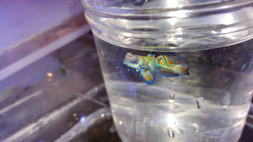 Pet Supply Store «Pacific East Aquaculture», reviews and photos, 107 School St, Mardela Springs, MD 21837, USA