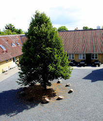 Testrup Højskole