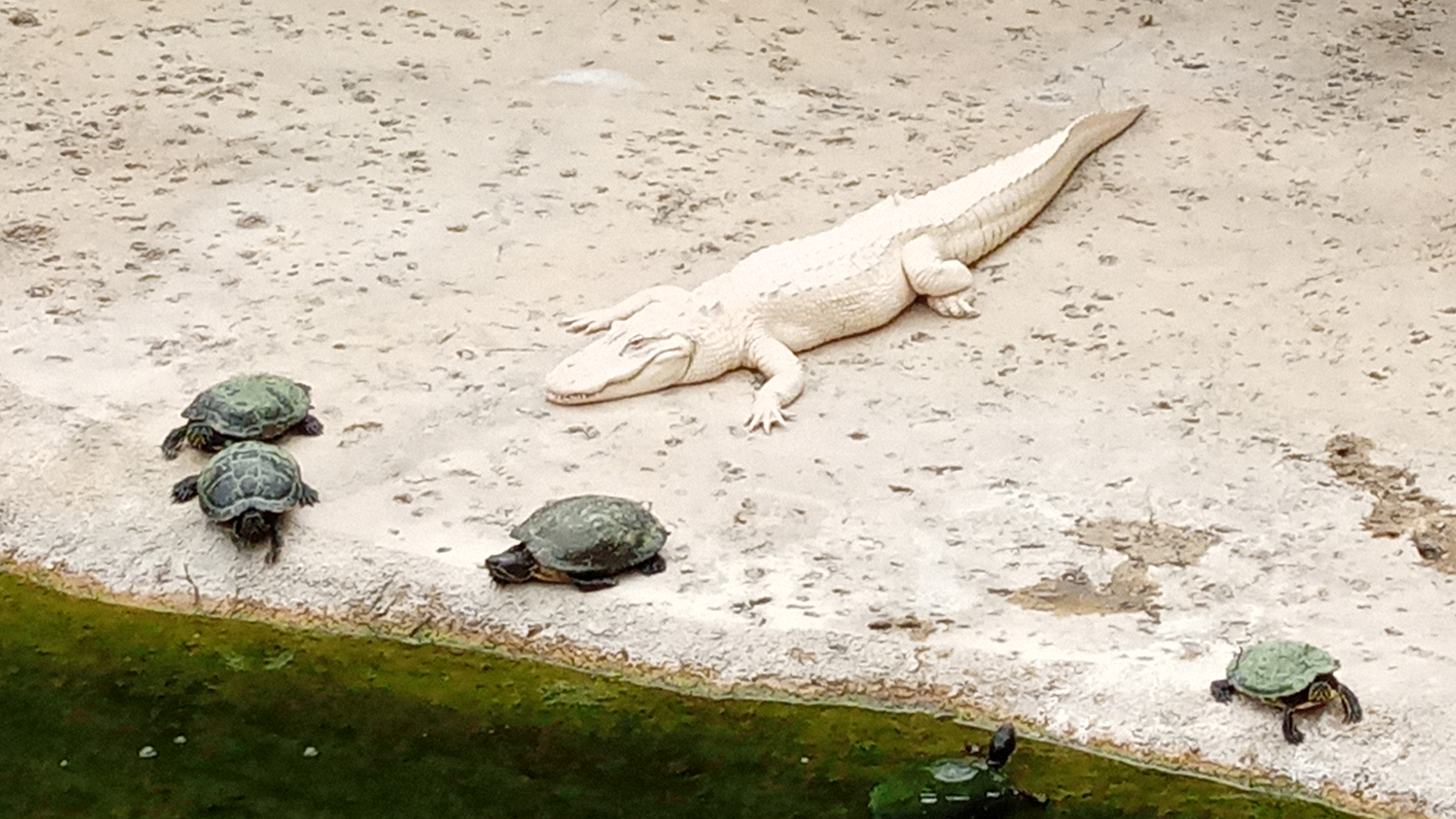 Photo n° 2 de l'avis de SE.O fait le 31/08/2022 à 11:03