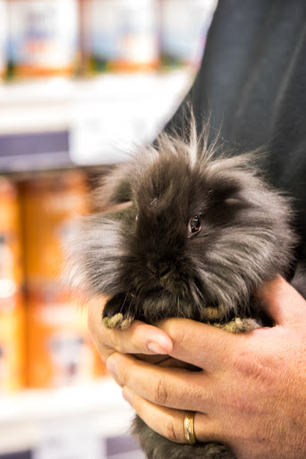 Pet Store «Pet Station Reno», reviews and photos, 5065 S McCarran Blvd, Reno, NV 89502, USA