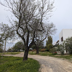 Photo n°2 de l'avis de L. fait le 04/03/2023 à 22:09 sur le  Monte do Álamo à Tavira