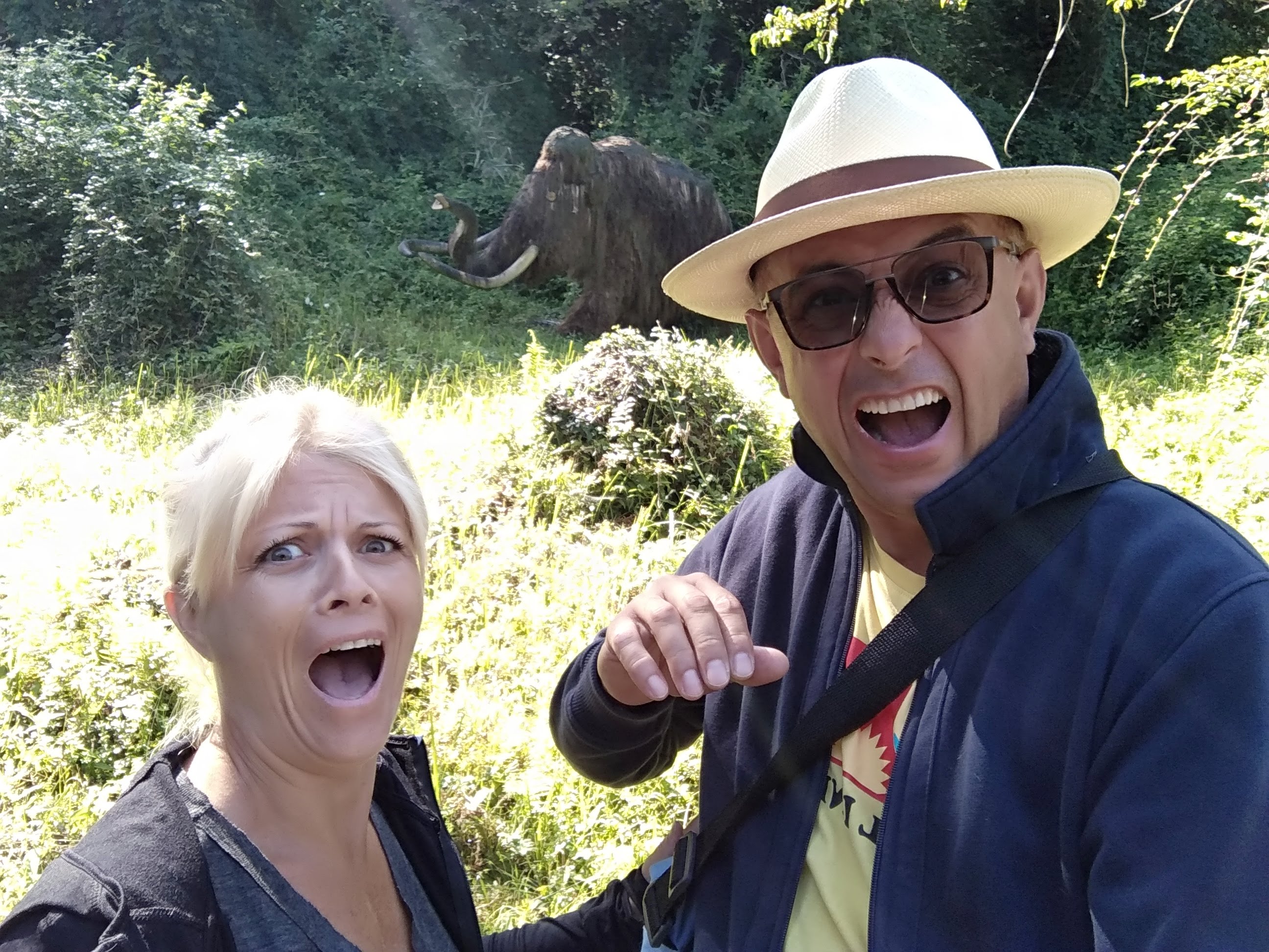 Photo n° 9 de l'avis de Jean-Marc. fait le 23/08/2019 à 18:05