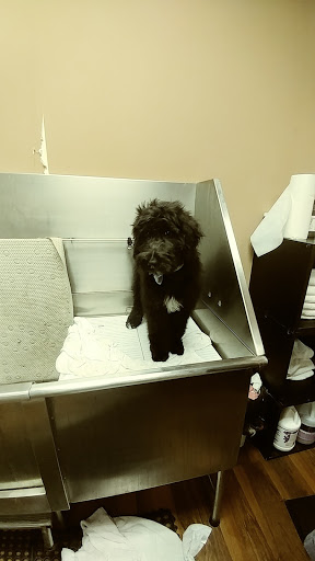 Pet Store «Pet Valu», reviews and photos, 2645 Shillington Rd, Sinking Spring, PA 19608, USA