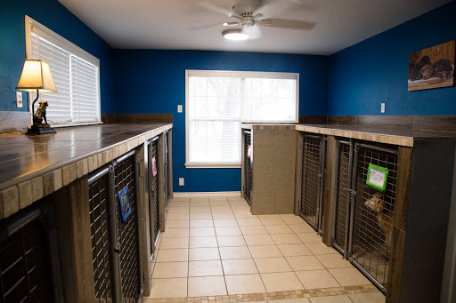 Kennel «Sandy Oaks Kennel, Daycare and Spaw», reviews and photos, 146 Lamar Dr, Rockport, TX 78382, USA