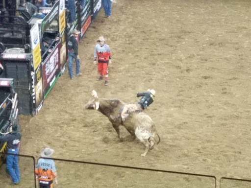 Arena «Madison Square Garden», reviews and photos, 4 Pennsylvania Plaza, New York, NY 10001, USA