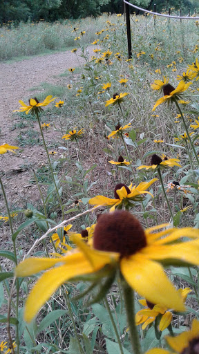 Park «Katherine Rose Memorial Park», reviews and photos, 303 N Walnut Creek Dr, Mansfield, TX 76063, USA